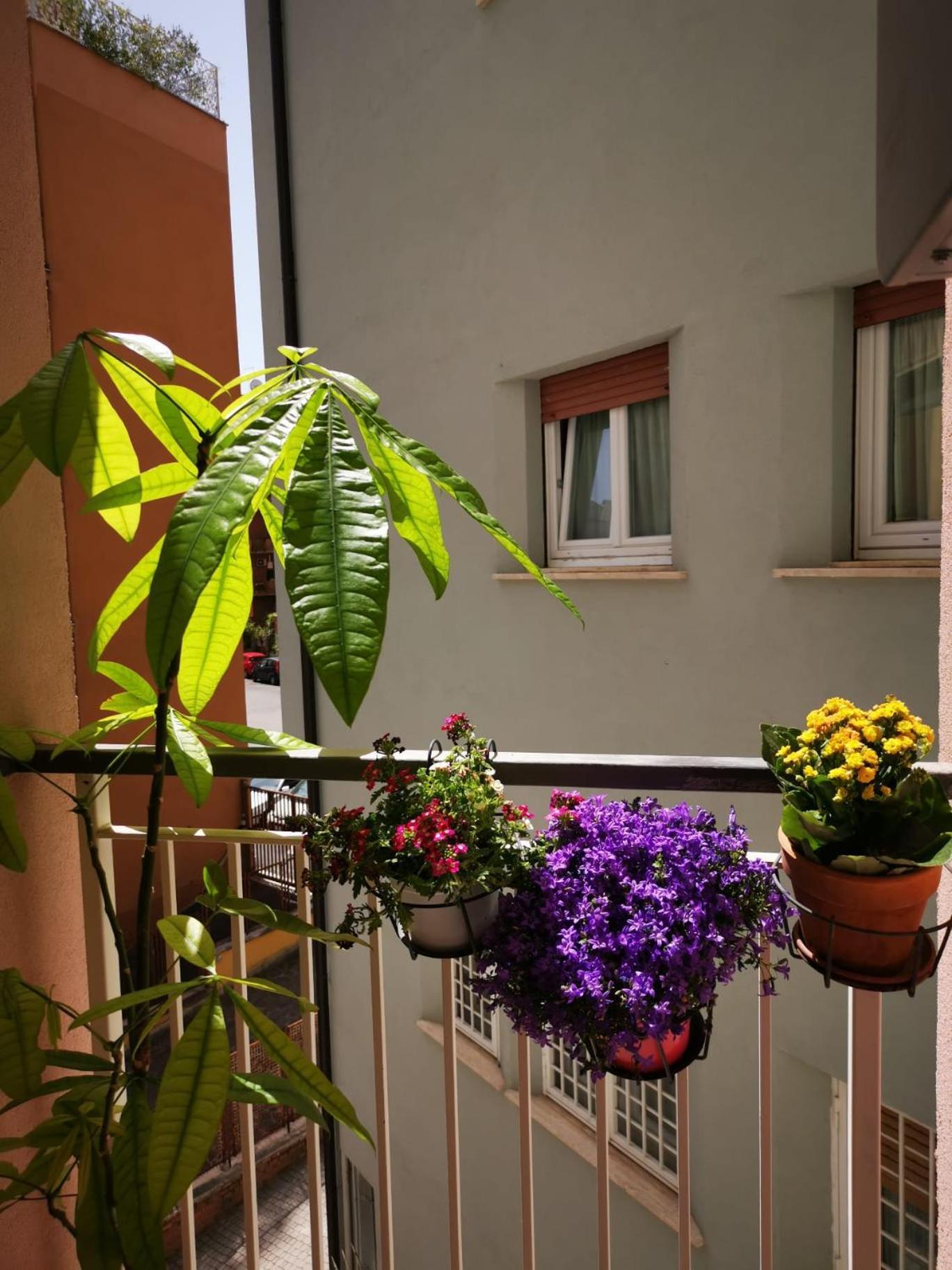 Apuleio 11 Apartamento